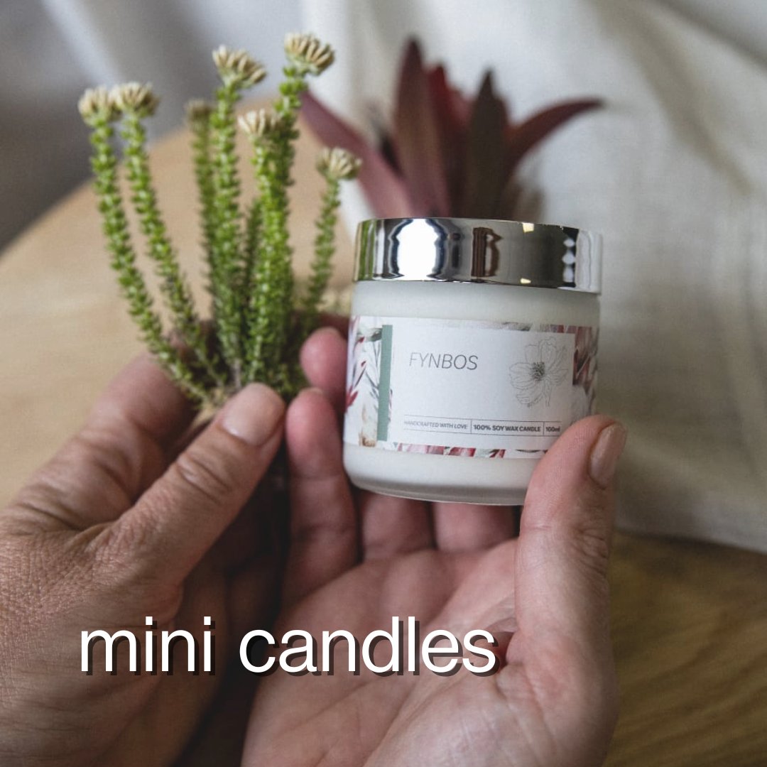 mini soy wax candles