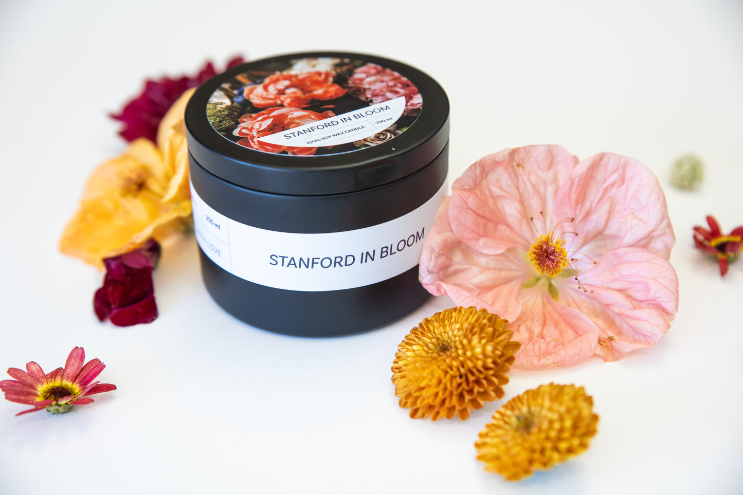 Stanford in Bloom - fragrance notes