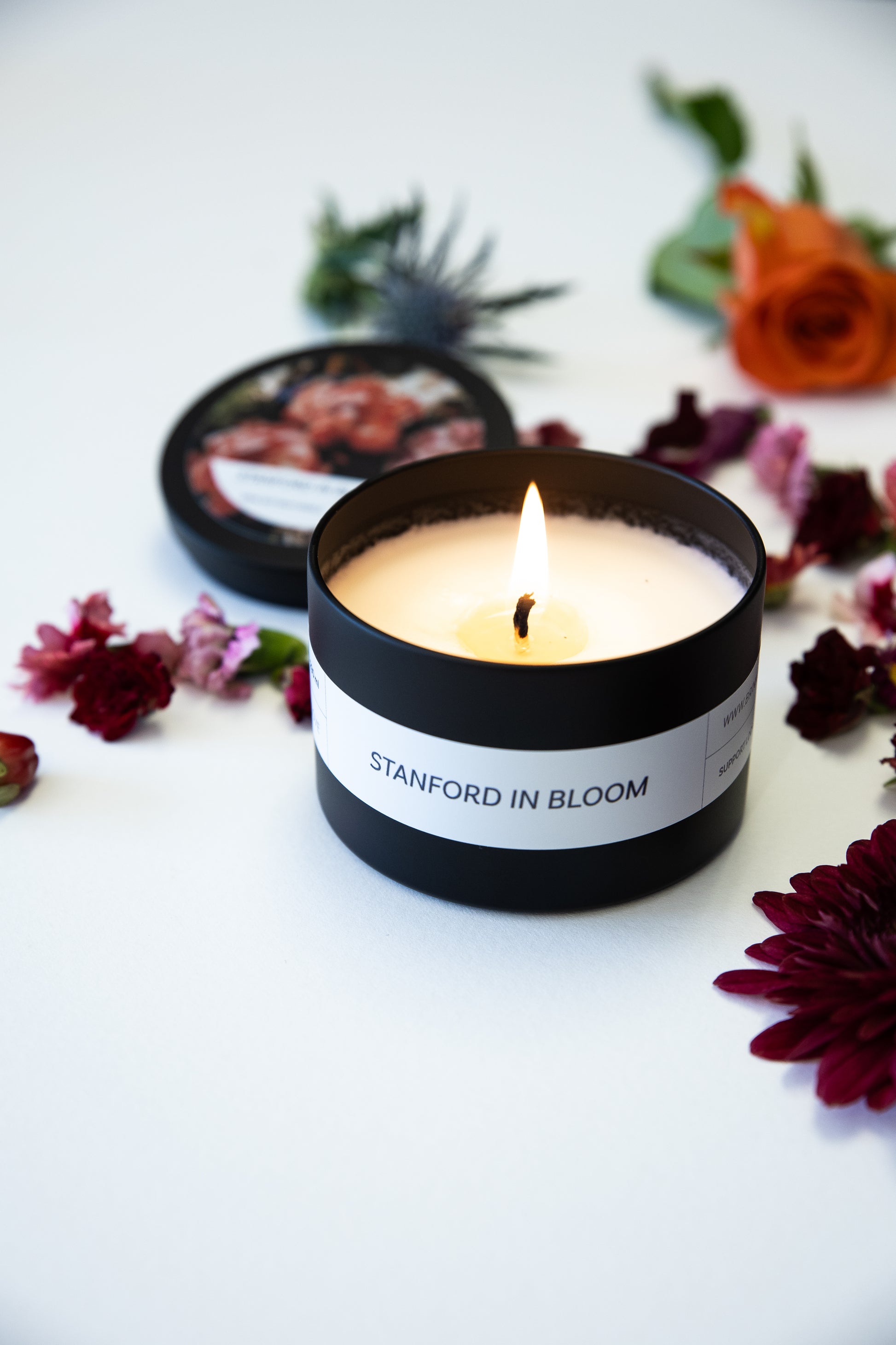 Stanford in Bloom candle by Brink of Touch