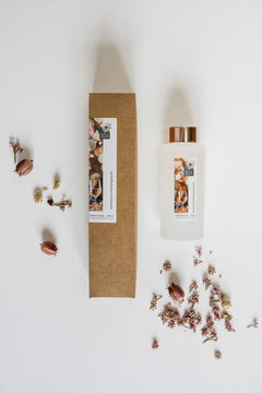 Hermanus Champagne Air Diffuser - styled shot