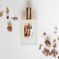 Hermanus Champagne Air Room Mist by Brink of Touch